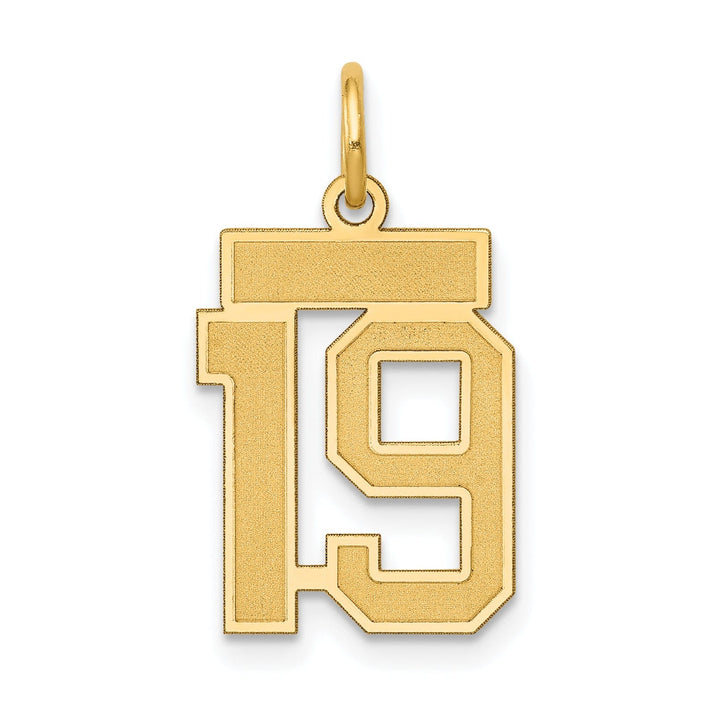 Lovely Rita's Pendants & Charms 14k Yellow Gold Satin Brush Finish Small Size Number 19 Charm Pendant