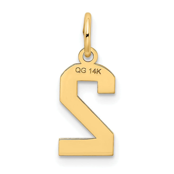 Lovely Rita's Pendants & Charms 14k Yellow Gold Satin Brush Finish Small Size Number 2 Charm Pendant