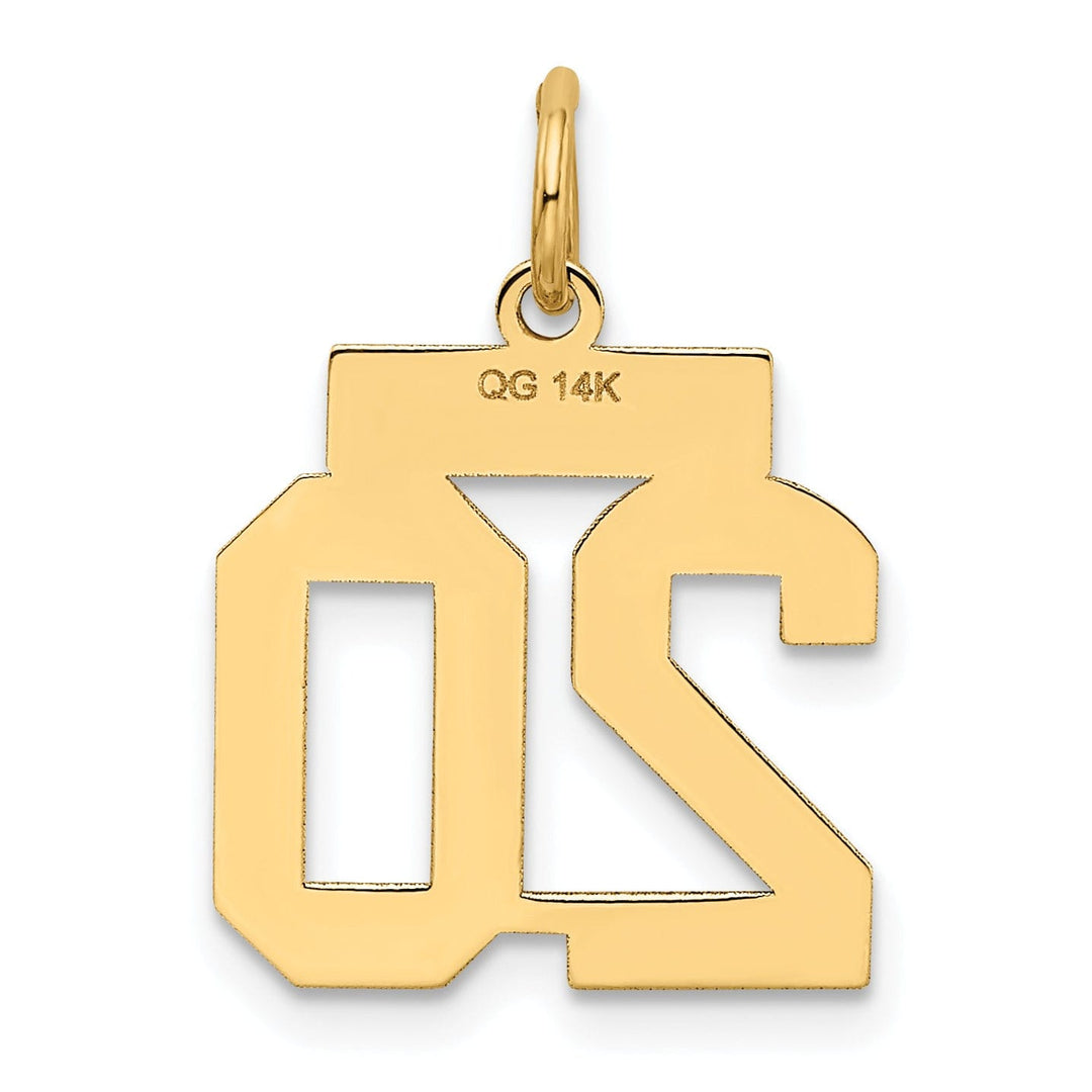 Lovely Rita's Pendants & Charms 14k Yellow Gold Satin Brush Finish Small Size Number 20 Charm Pendant