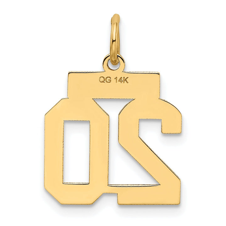 Lovely Rita's Pendants & Charms 14k Yellow Gold Satin Brush Finish Small Size Number 20 Charm Pendant