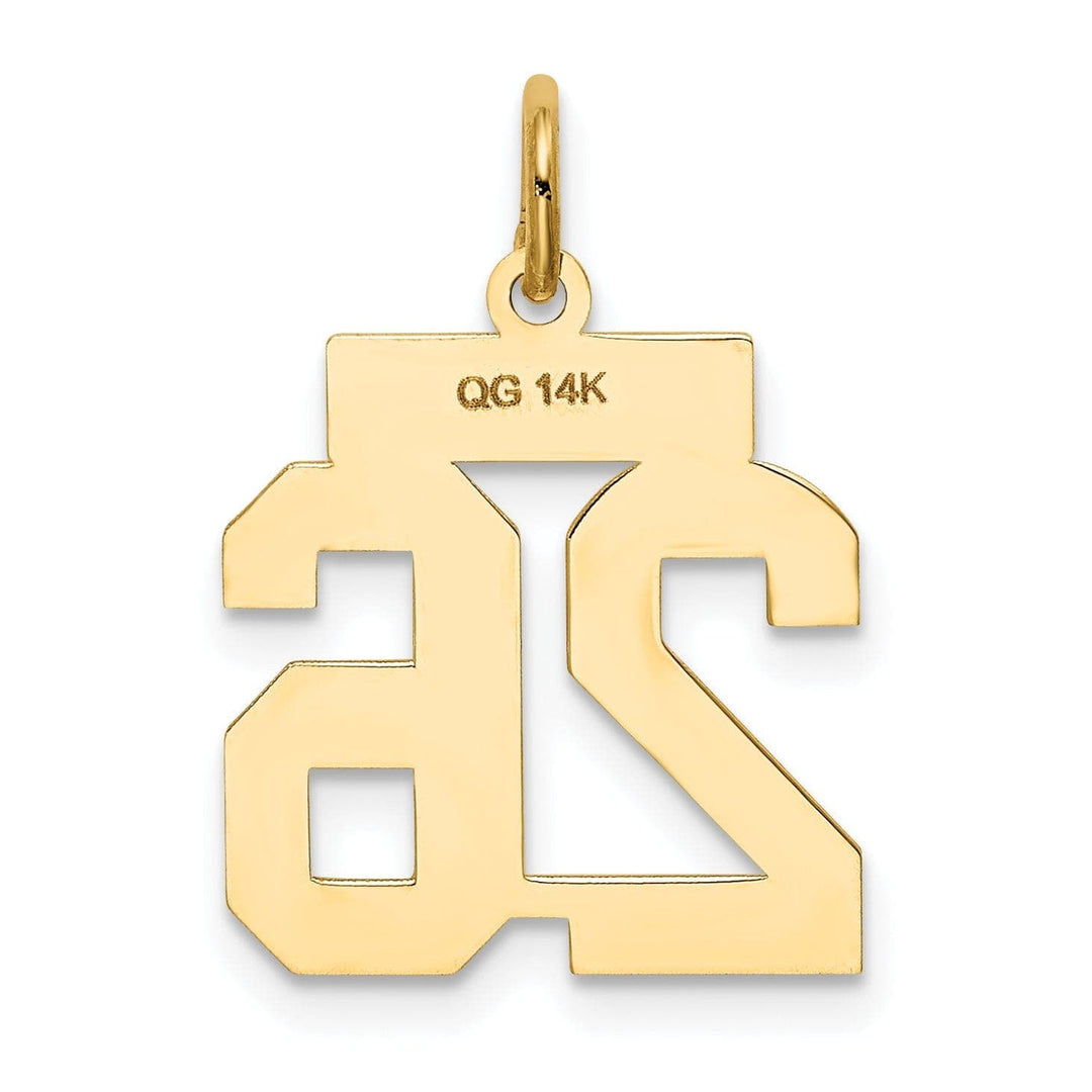 Lovely Rita's Pendants & Charms 14k Yellow Gold Satin Brush Finish Small Size Number 26 Charm Pendant