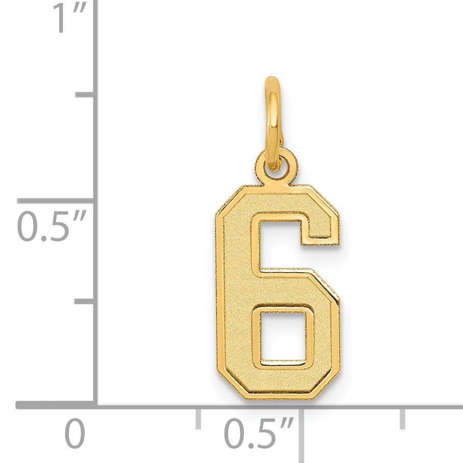 Lovely Rita's Pendants & Charms 14k Yellow Gold Satin Brush Finish Small Size Number 6 Charm Pendant