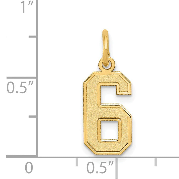 Lovely Rita's Pendants & Charms 14k Yellow Gold Satin Brush Finish Small Size Number 6 Charm Pendant