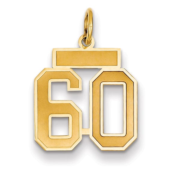 Lovely Rita's Pendants & Charms 14k Yellow Gold Satin Brush Finish Small Size Number 60 Charm Pendant