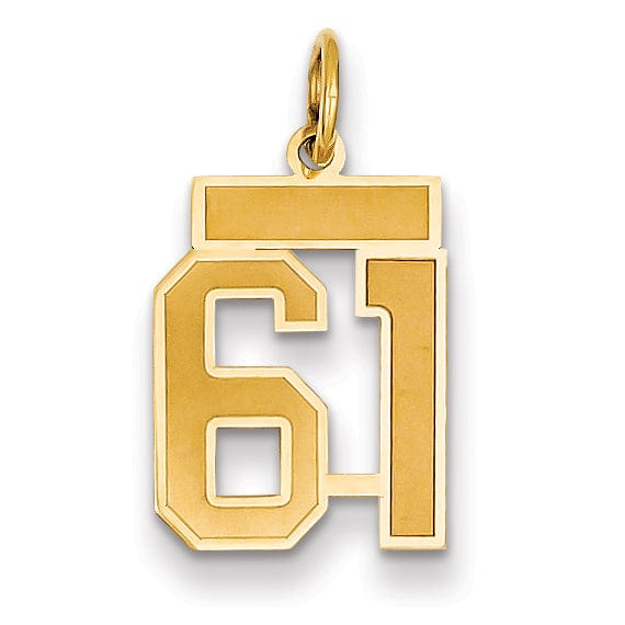 Lovely Rita's Pendants & Charms 14k Yellow Gold Satin Brush Finish Small Size Number 61 Charm Pendant
