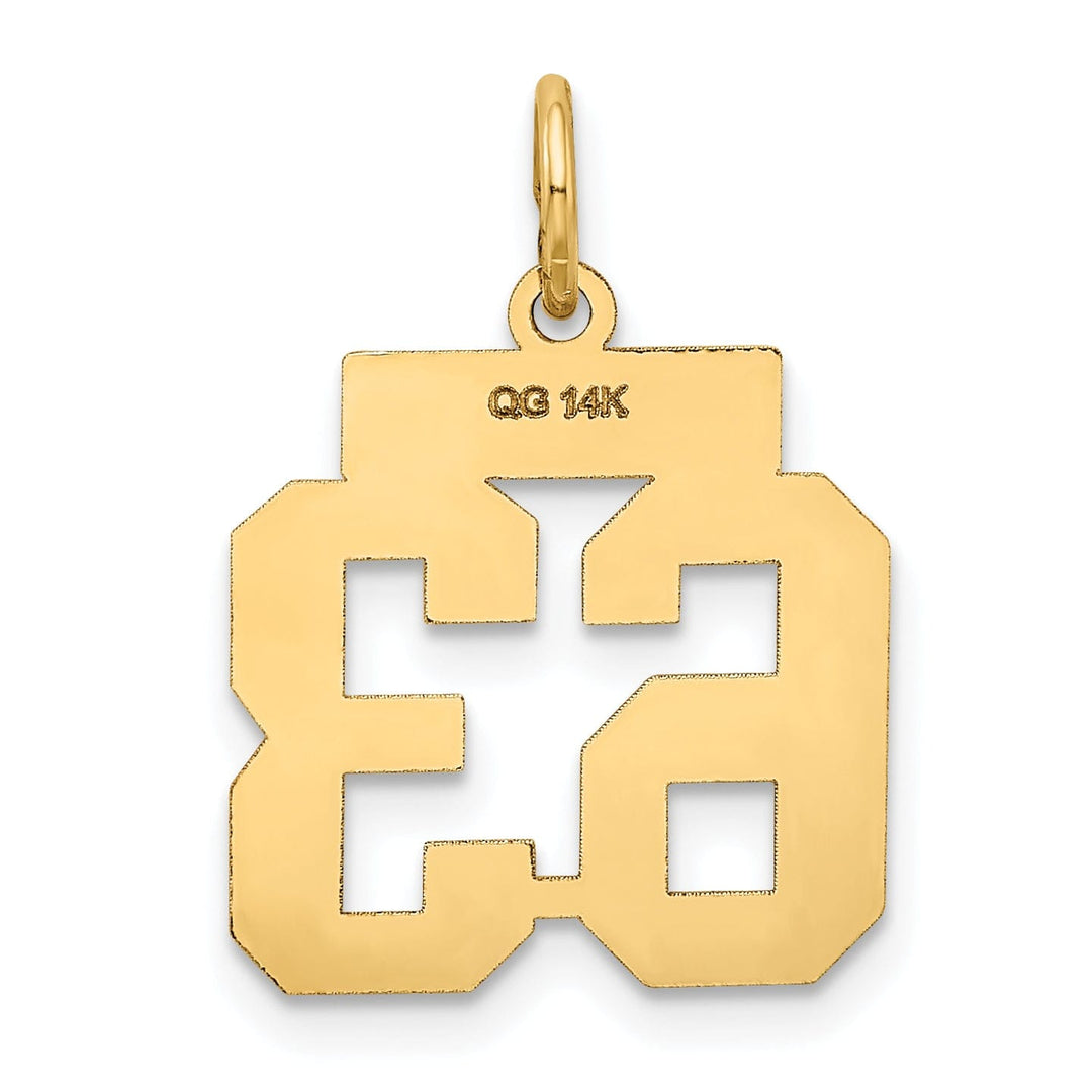 Lovely Rita's Pendants & Charms 14k Yellow Gold Satin Brush Finish Small Size Number 63 Charm Pendant