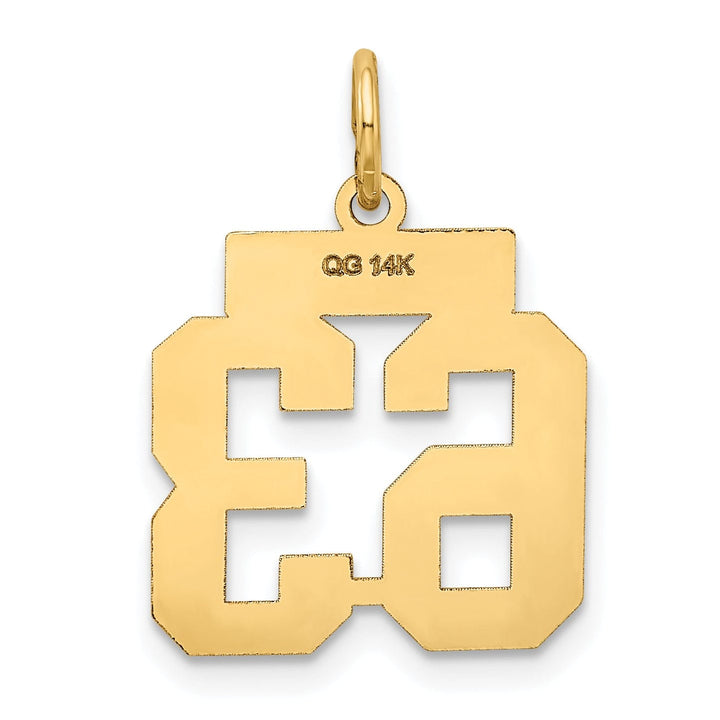 Lovely Rita's Pendants & Charms 14k Yellow Gold Satin Brush Finish Small Size Number 63 Charm Pendant