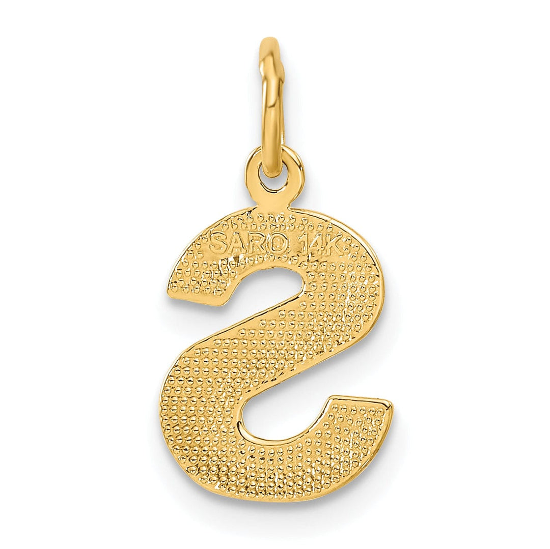Lovely Rita's Pendants & Charms 14k Yellow Gold Satin Diamond Cut Finish Letter S Initial Charm Pendant