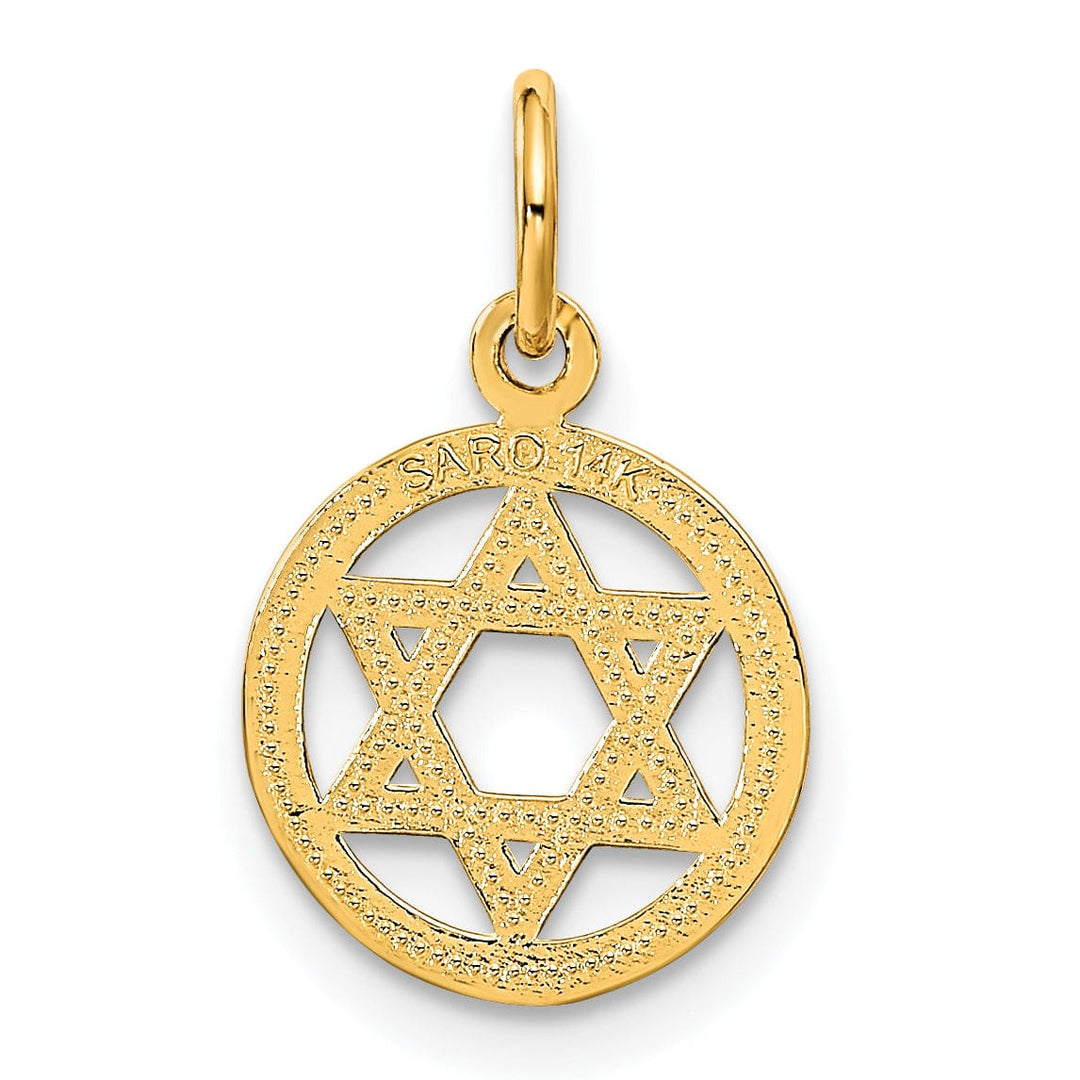 Lovely Rita's Pendants & Charms 14k Yellow Gold Satin Polished D.C Round Shape Star of David Pendant