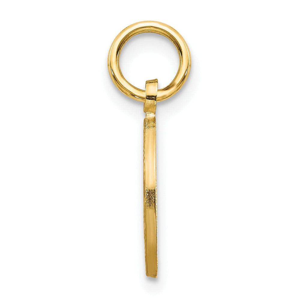 Lovely Rita's Pendants & Charms 14k Yellow Gold Satin Polished D.C Round Shape Star of David Pendant