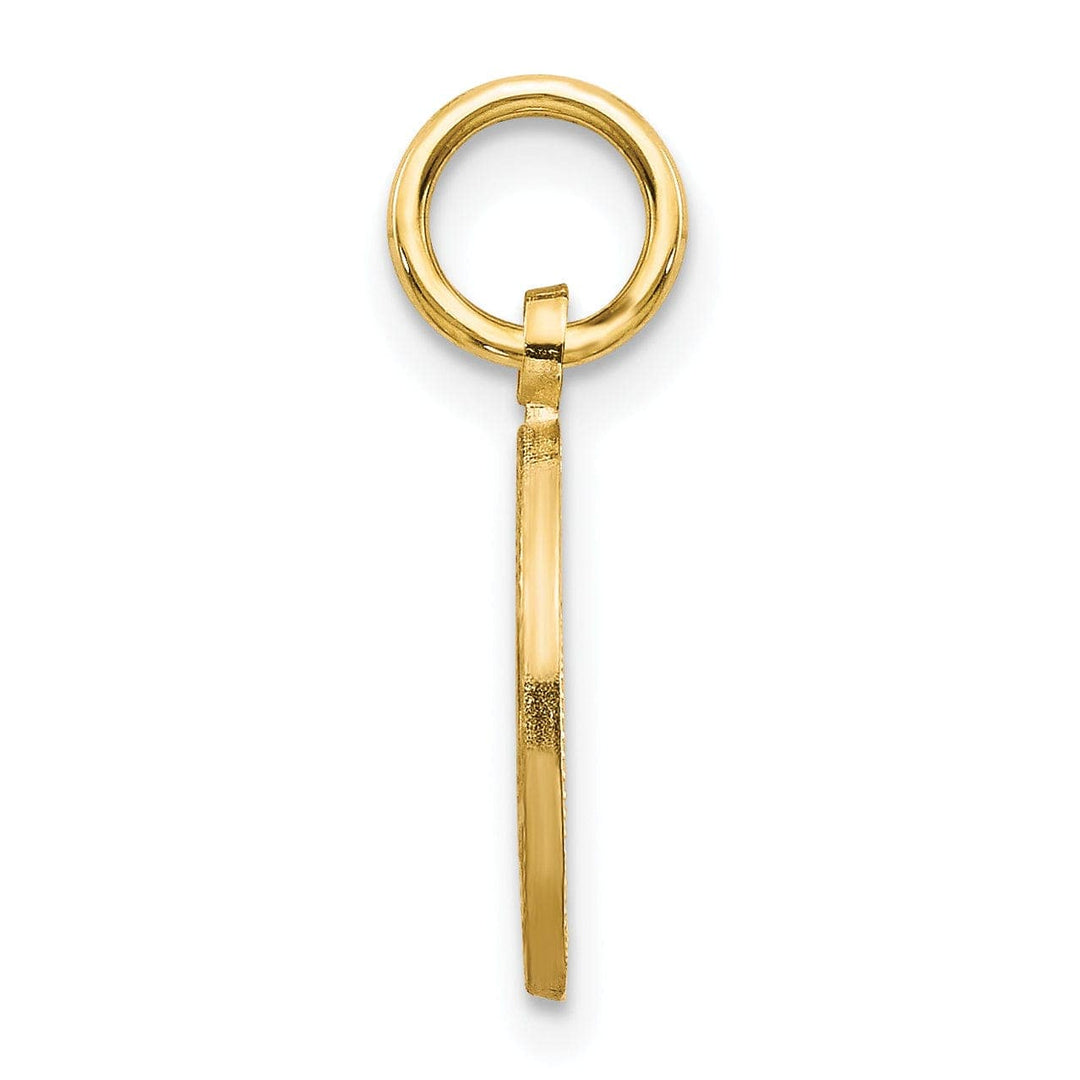 Lovely Rita's Pendants & Charms 14k Yellow Gold Satin Polished D.C Round Shape Star of David Pendant