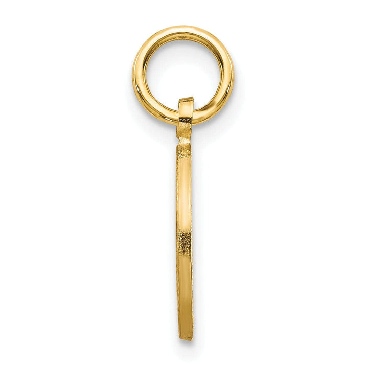 Lovely Rita's Pendants & Charms 14k Yellow Gold Satin Polished D.C Round Shape Star of David Pendant