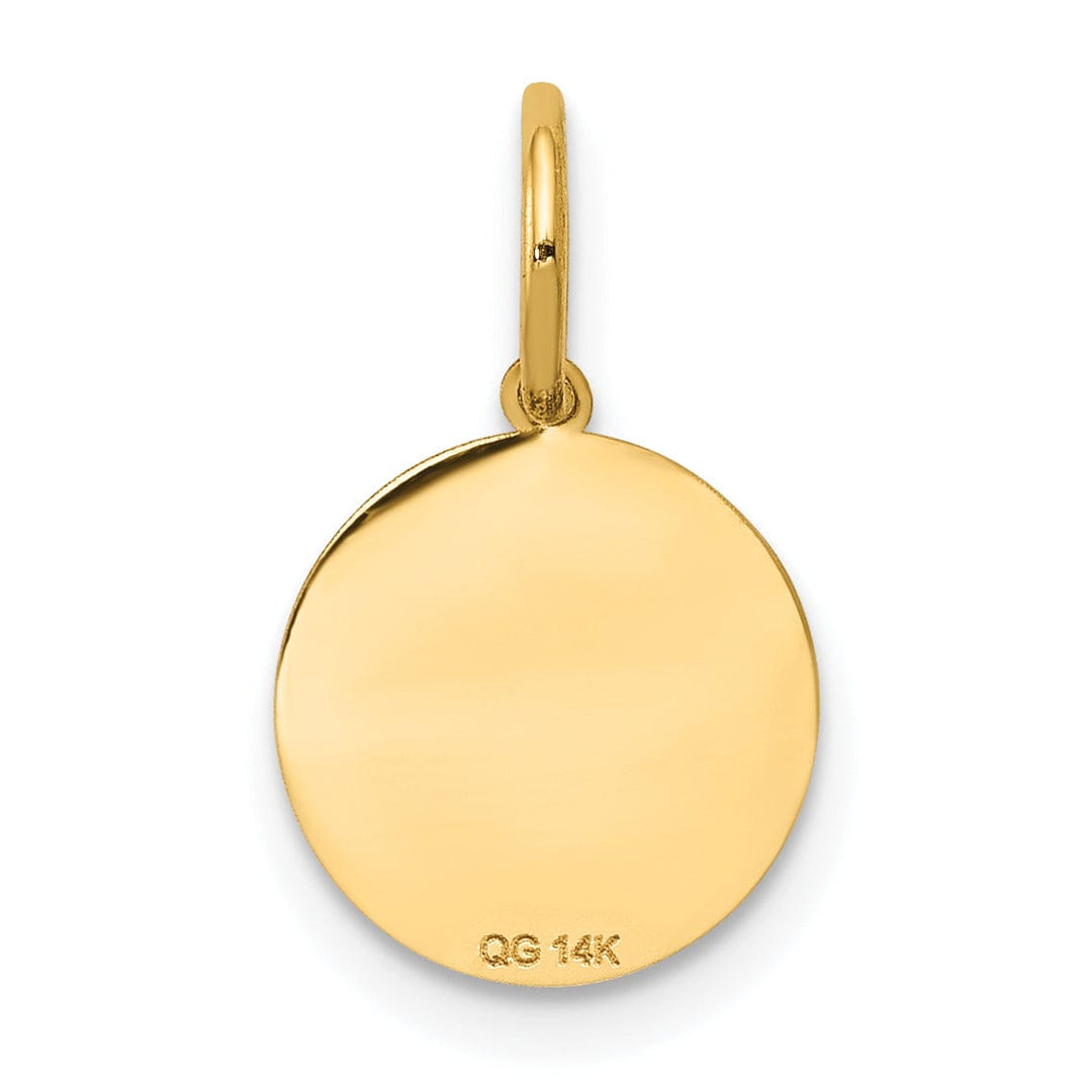 Lovely Rita's Pendants & Charms 14k Yellow Gold Small Baptism Medal Pendant.
