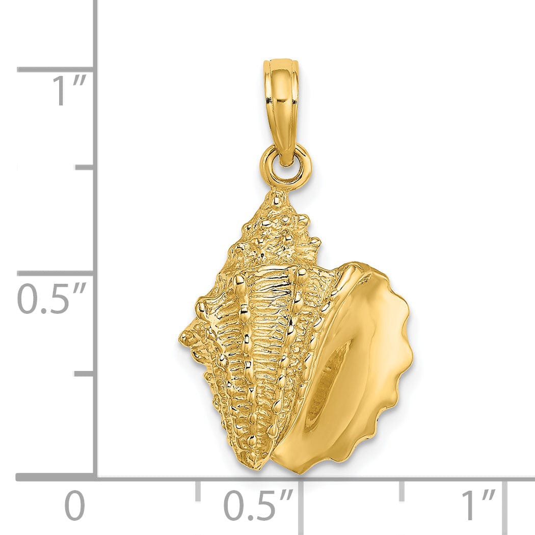 Lovely Rita's Pendants & Charms 14K Yellow Gold Solid Open Back Polished Texture Finish Conch Shell Charm Pendant