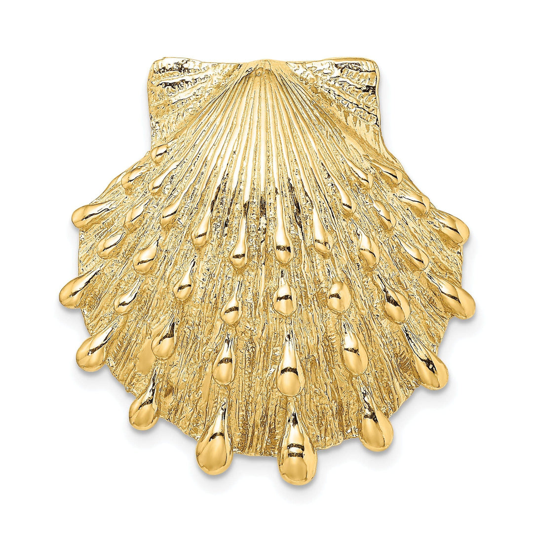 Lovely Rita's Pendants & Charms 14K Yellow Gold Solid Polished Textured Finish Lions Paw Sea Shell Slide Pendant Fits up to 10mm Fancy Omega