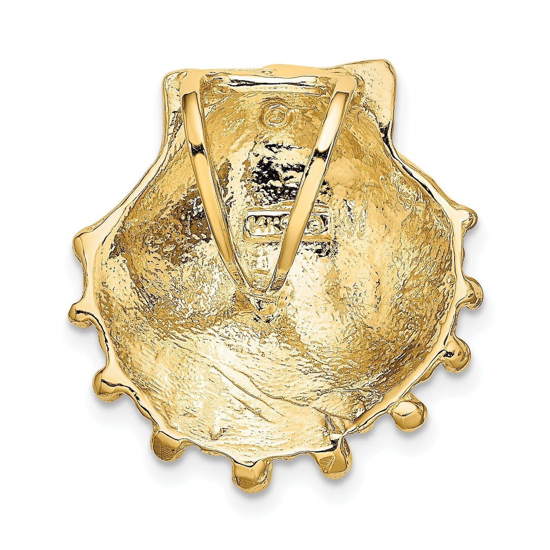 Lovely Rita's Pendants & Charms 14k Yellow Gold Solid Polished Textured Finish Small Lion's Paw Shell Slide Pendant Fits up to 8mm Fancy Omega