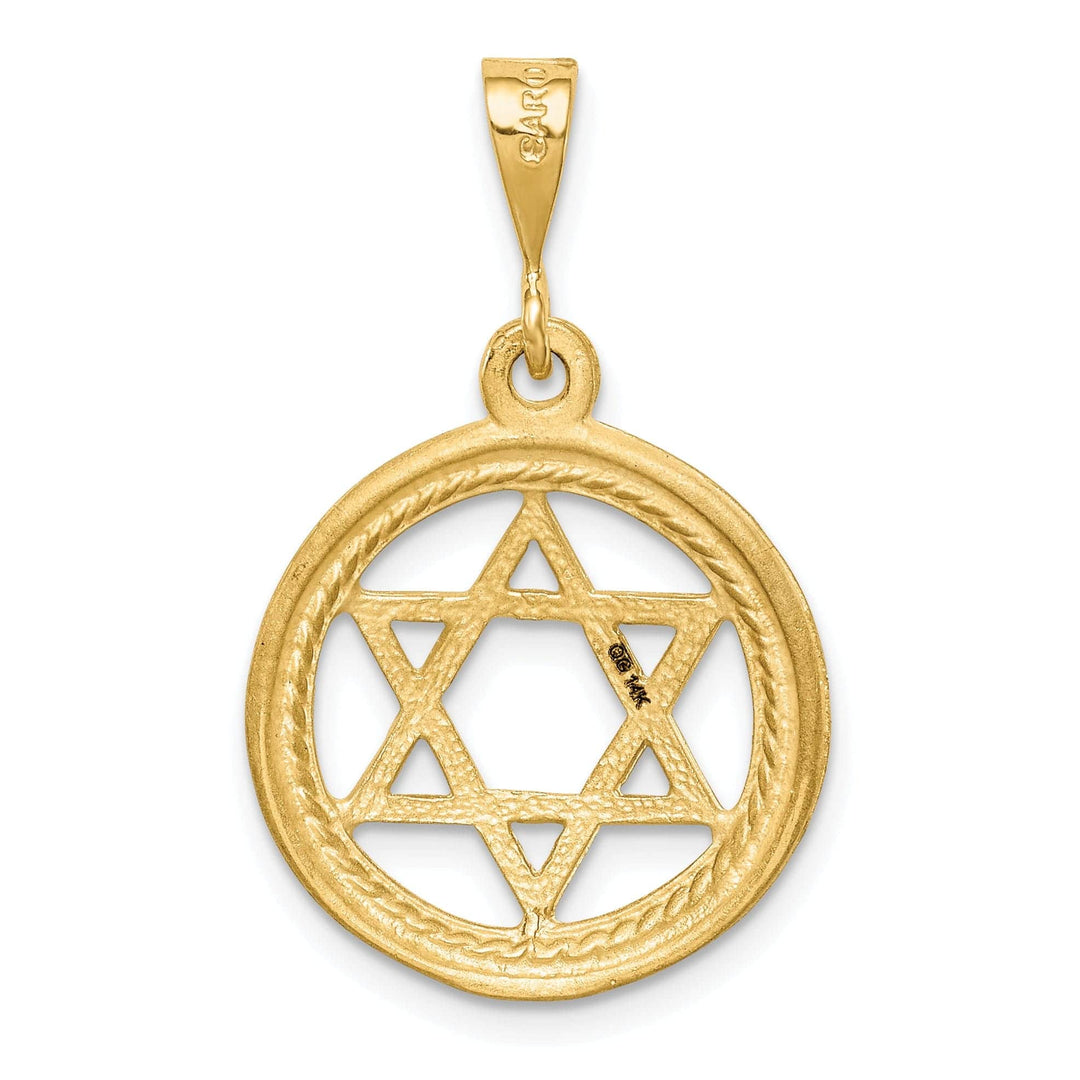 Lovely Rita's Pendants & Charms 14k Yellow Gold Stain Polish D.C Finish Concave Star Of David Pendant