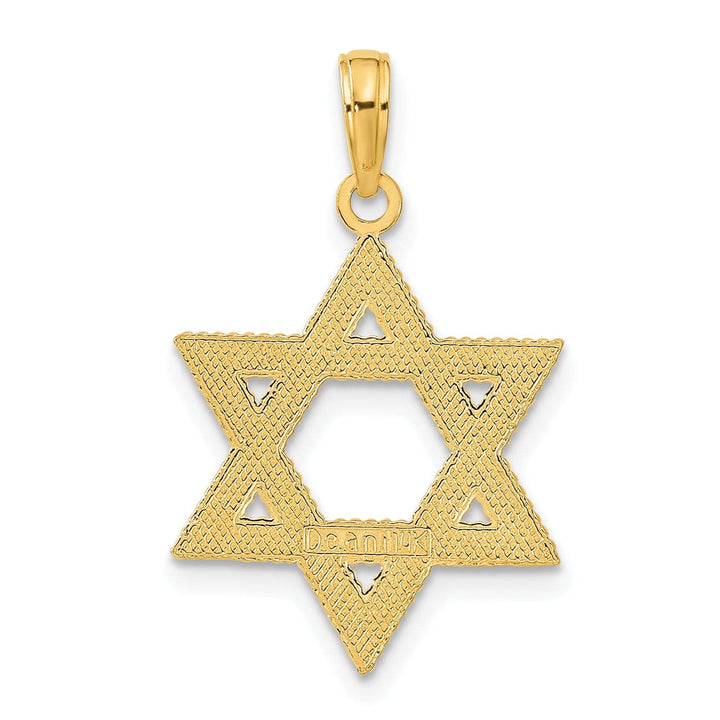 Lovely Rita's Pendants & Charms 14k Yellow Gold Texture D.C Finish Solid Star of David Pendant