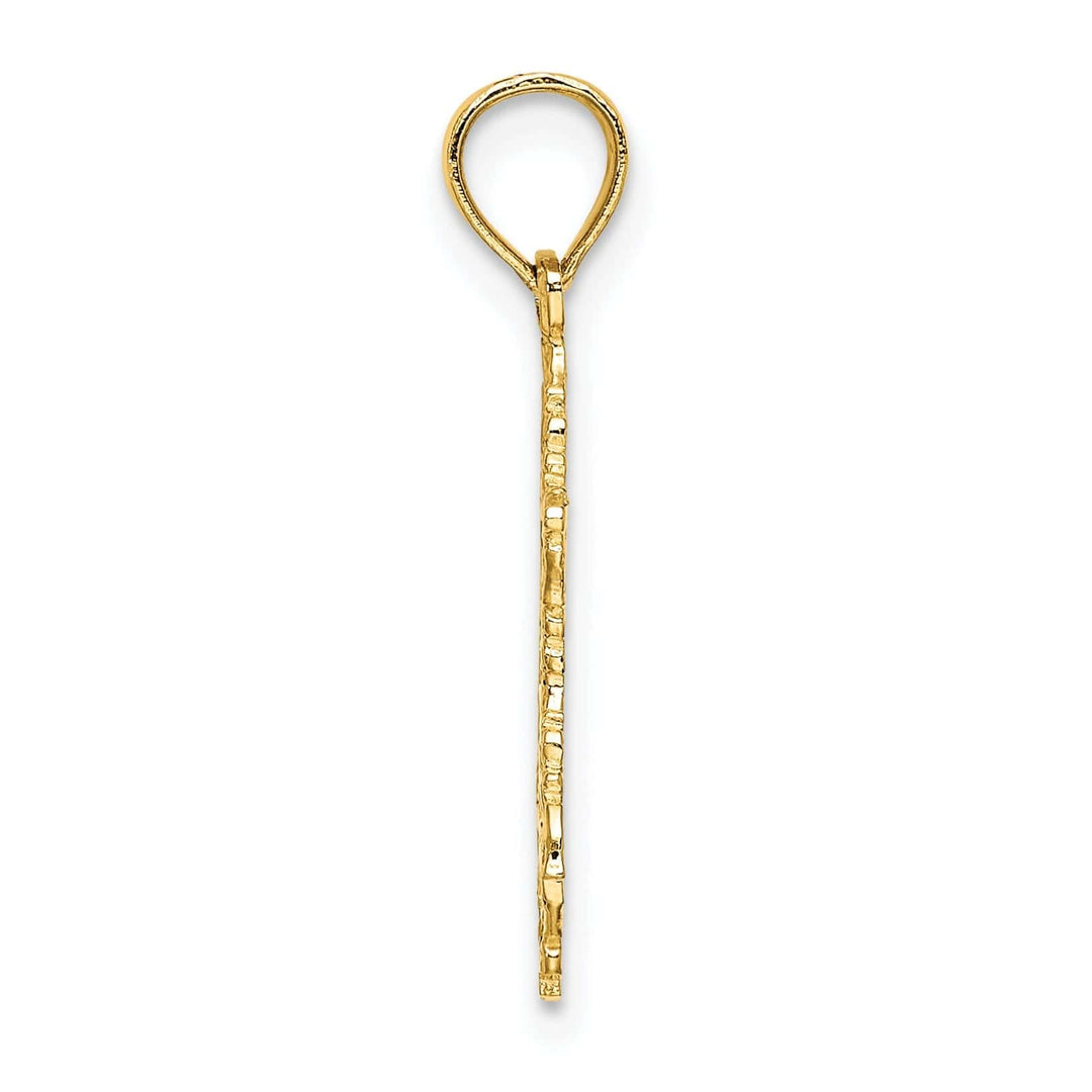 Lovely Rita's Pendants & Charms 14K Yellow Gold Texture Polish Finish Flat Back Star of David Pendant