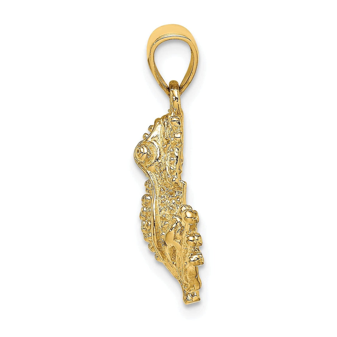 Lovely Rita's Pendants & Charms 14K Yellow Gold Textured Polished Finish 2-Dimensional Frog Charm Pendant