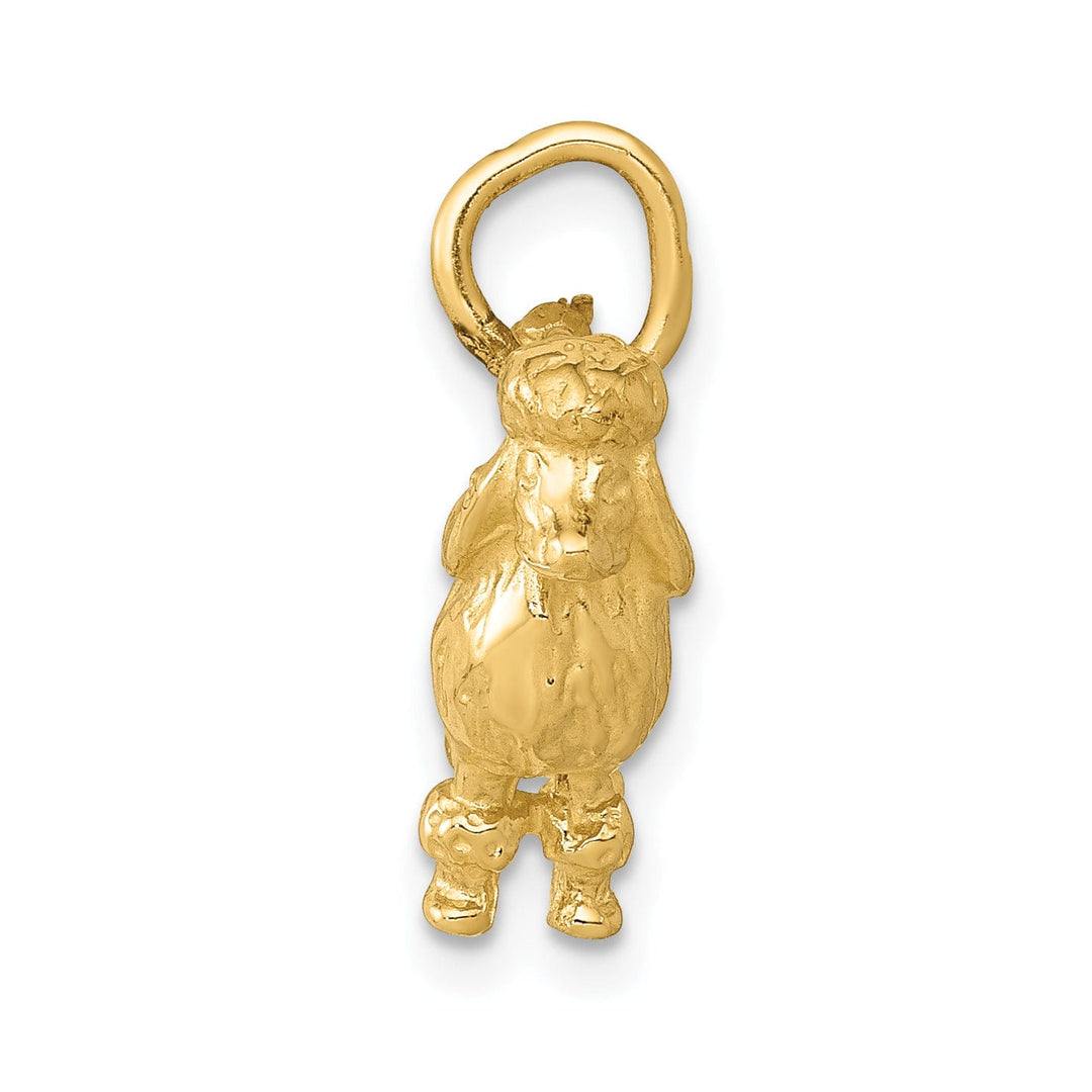 Lovely Rita's Pendants & Charms 14K Yellow Gold Textured Polished Finish 3-Dimensional Poddle Dog Charm Pendant