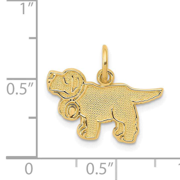 Lovely Rita's Pendants & Charms 14k Yellow Gold Textured Polished Finish Saint Bernard Charm Pendant