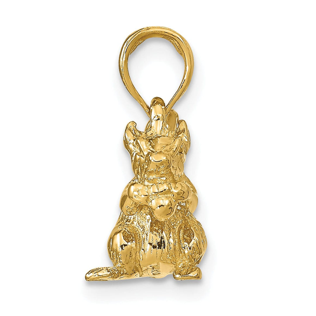 Lovely Rita's Pendants & Charms 14k Yellow Gold Textured Polished Finish Solid 3-Dimentional Squirrel with Nut Charm Pendant
