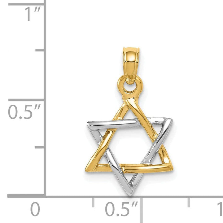 Lovely Rita's Pendants & Charms 14K Yellow White Gold Polish Finish Solid Star of David Charm Pendant