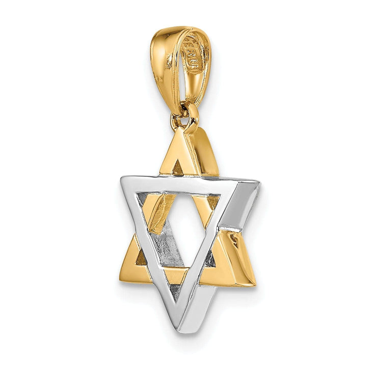 Lovely Rita's Pendants & Charms 14K Yellow White Gold Polished Finish Star Of David Charm Pendant