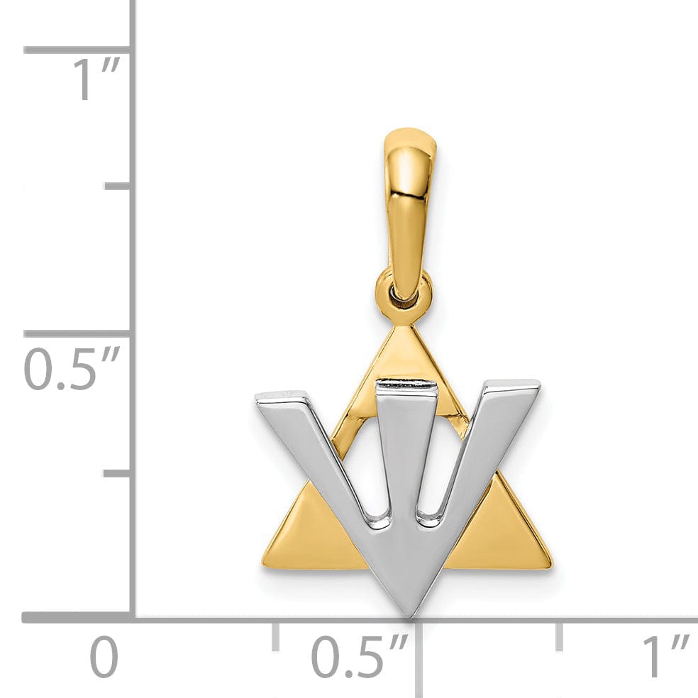 Lovely Rita's Pendants & Charms 14K Yellow White Gold Polished Finish Star of David with Shin Pendant