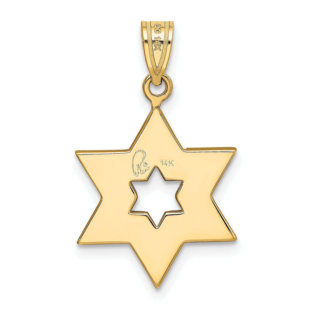 Lovely Rita's Pendants & Charms 14K Yellow White Gold Satin Finish Star of David Charm Pendant