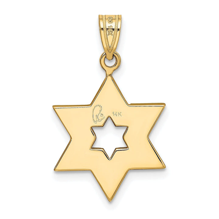 Lovely Rita's Pendants & Charms 14K Yellow White Gold Satin Finish Star of David Charm Pendant
