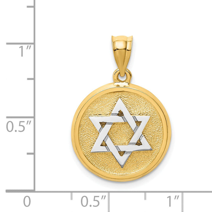 Lovely Rita's Pendants & Charms 14k Yellow White Gold Satin Polished Finish Star of David Disc Pendant
