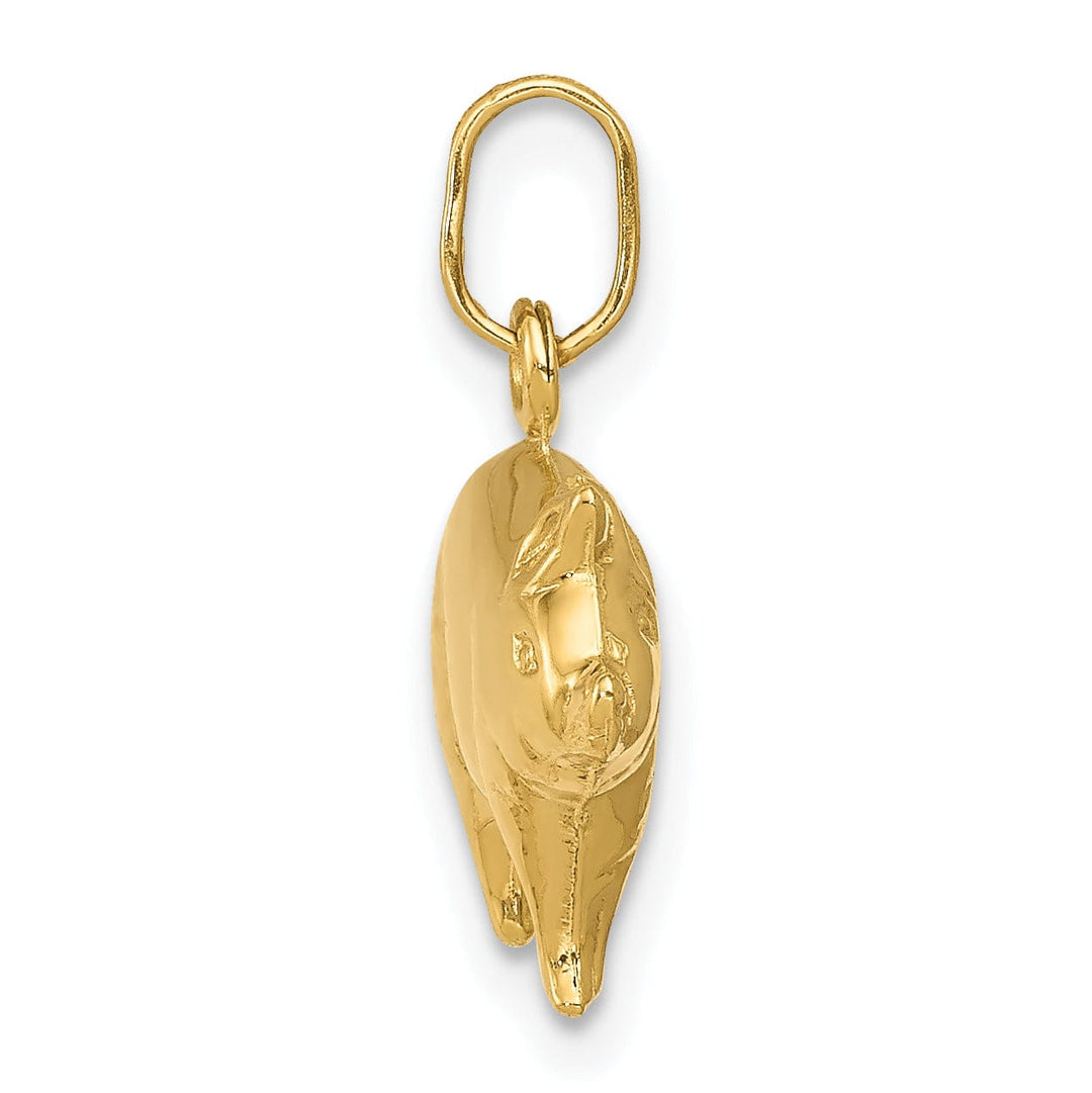 Lovely Rita's Pendants & Charms 14kK Yellow Gold Polished Finish Reversible Hollow Pig Charm Pendant