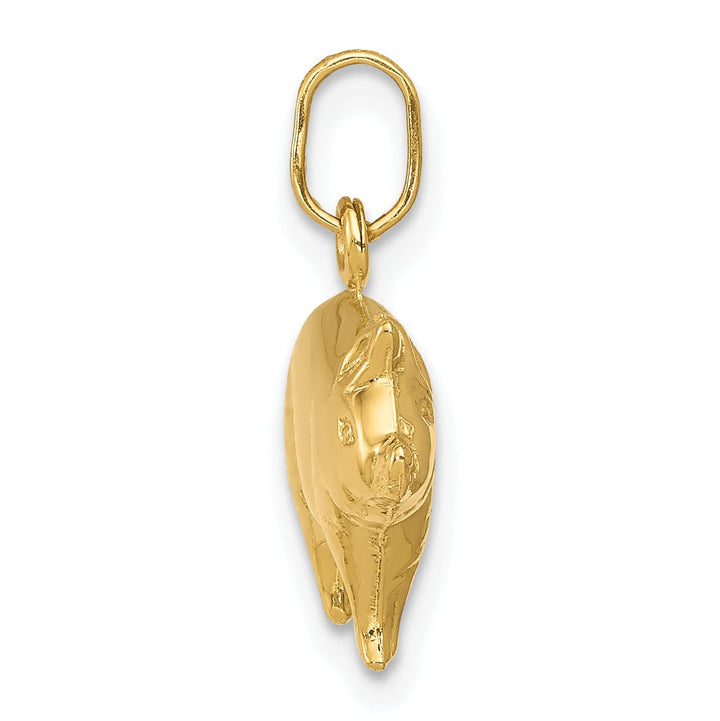 Lovely Rita's Pendants & Charms 14kK Yellow Gold Polished Finish Reversible Hollow Pig Charm Pendant