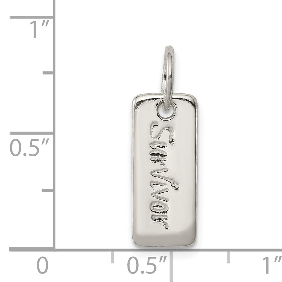 Lovely Rita's Pendants & Charms Silver Polish Courage Survivor Reversible Charm