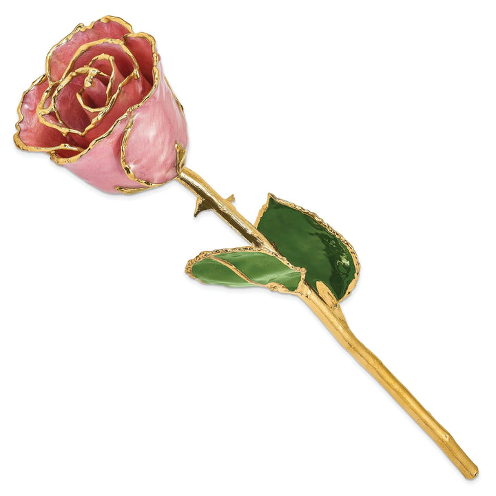 Lovely Rita's Pin 24k Gold Plated Trim Dusty Pink Rose