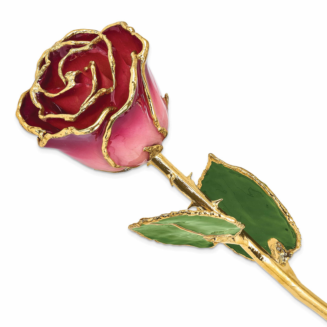 Lovely Rita's Pin 24k Gold Plated Trim Pink and Burgundy Rose