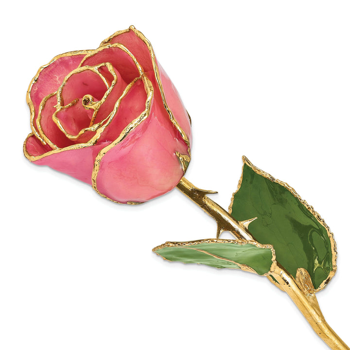 Lovely Rita's Pin 24k Gold Plated Trim Pink Rose