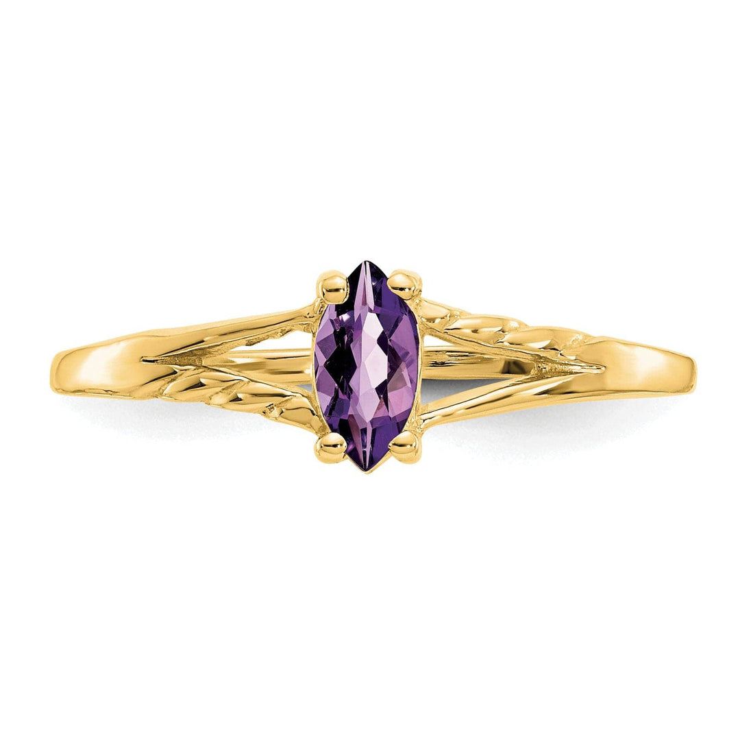 Lovely Rita's Ring 14k Yellow Gold Polished Amethyst Birthstone Ring