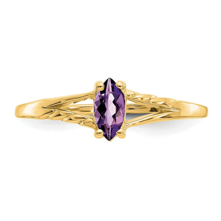 Lovely Rita's Ring 14k Yellow Gold Polished Amethyst Birthstone Ring