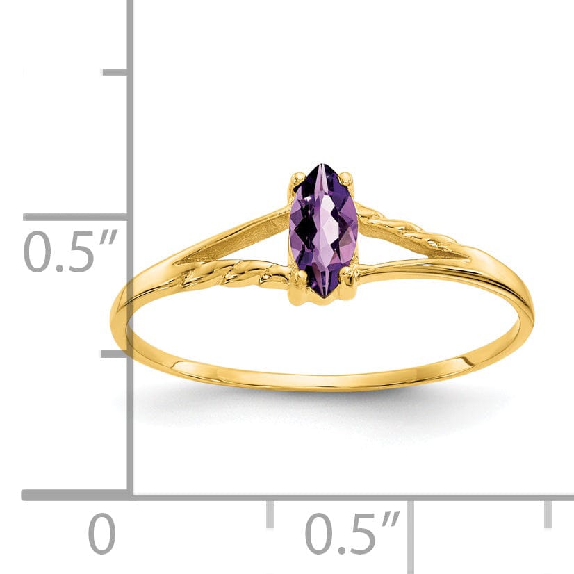 Lovely Rita's Ring 14k Yellow Gold Polished Amethyst Birthstone Ring