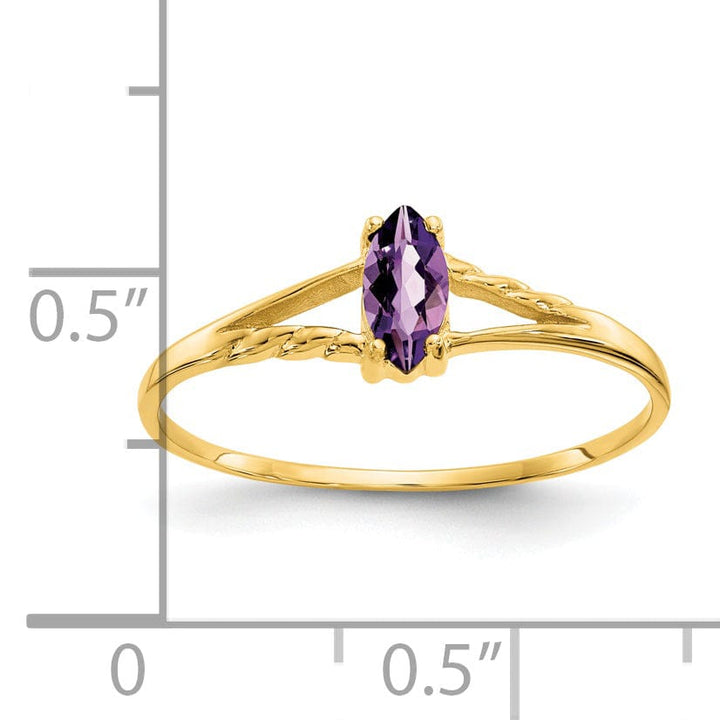 Lovely Rita's Ring 14k Yellow Gold Polished Amethyst Birthstone Ring