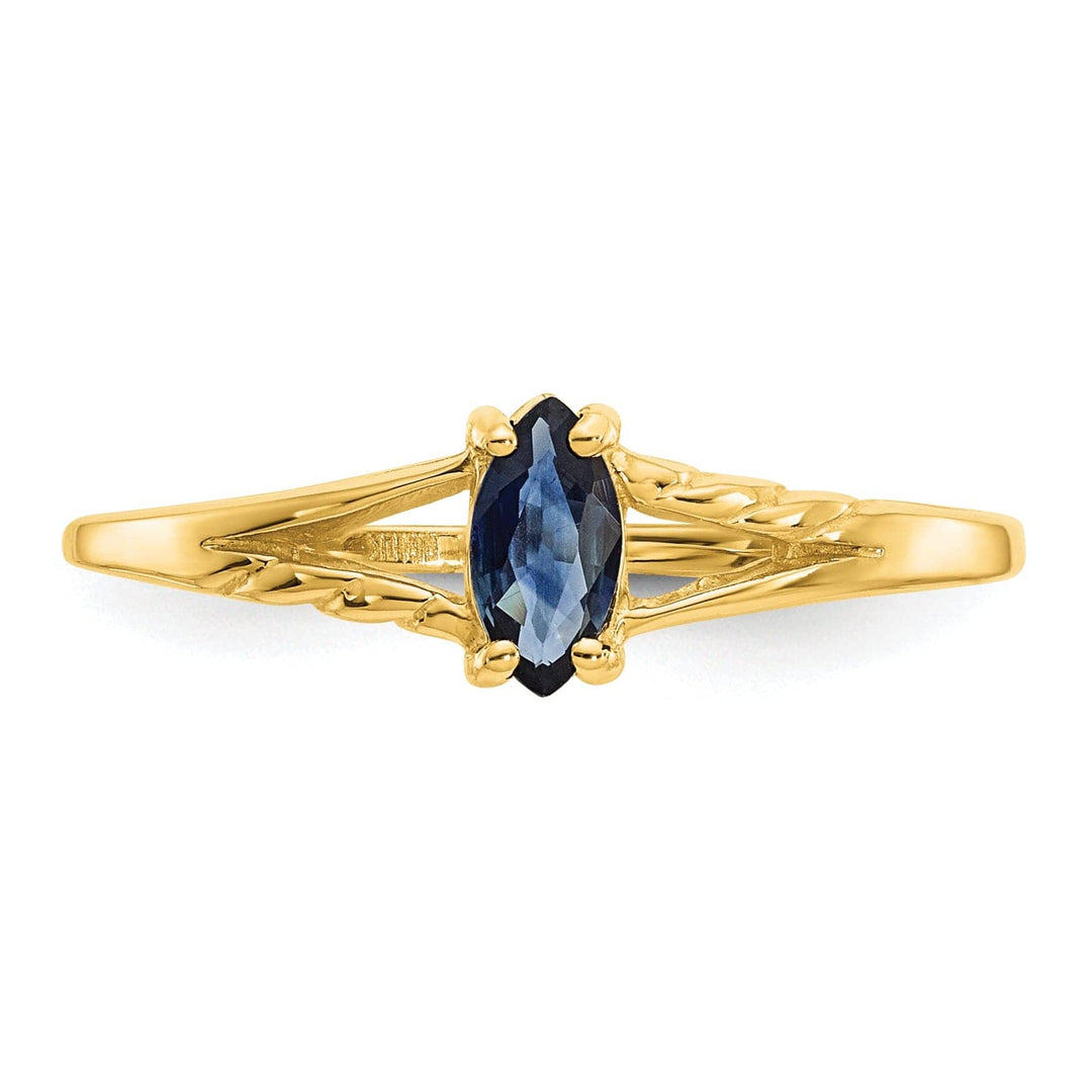 Lovely Rita's Ring 14k Yellow Gold Polished Sapphire Birthstone Ring