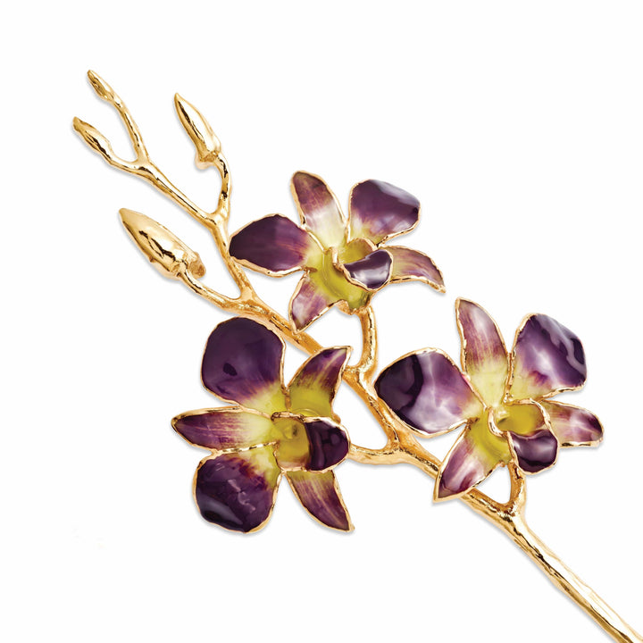 Lovely Rita's Trimmed Rose 24k Gold Plated Purple Yellow Dendrobium Orchid