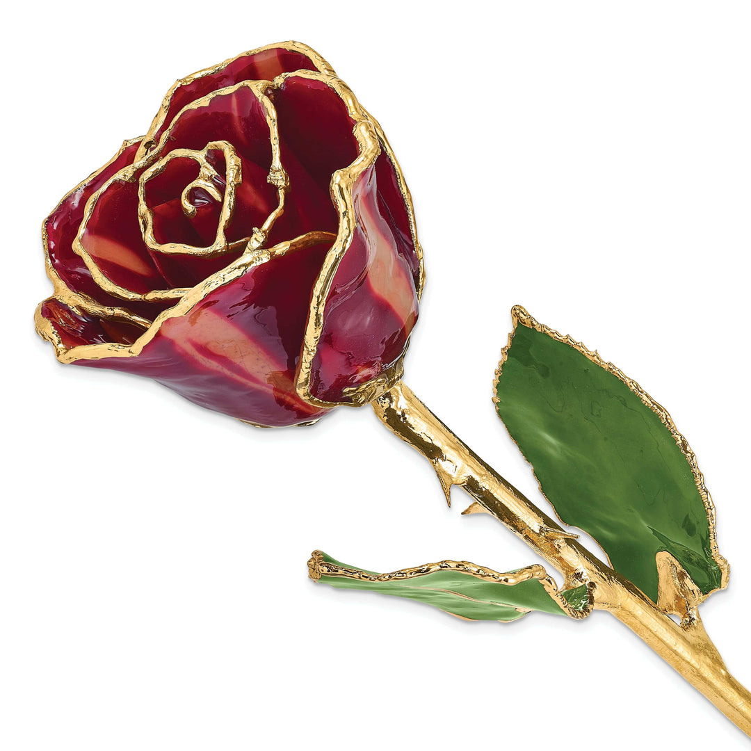 Lovely Rita's Trimmed Rose 24k Gold Plated Trim Abracadabra Rose