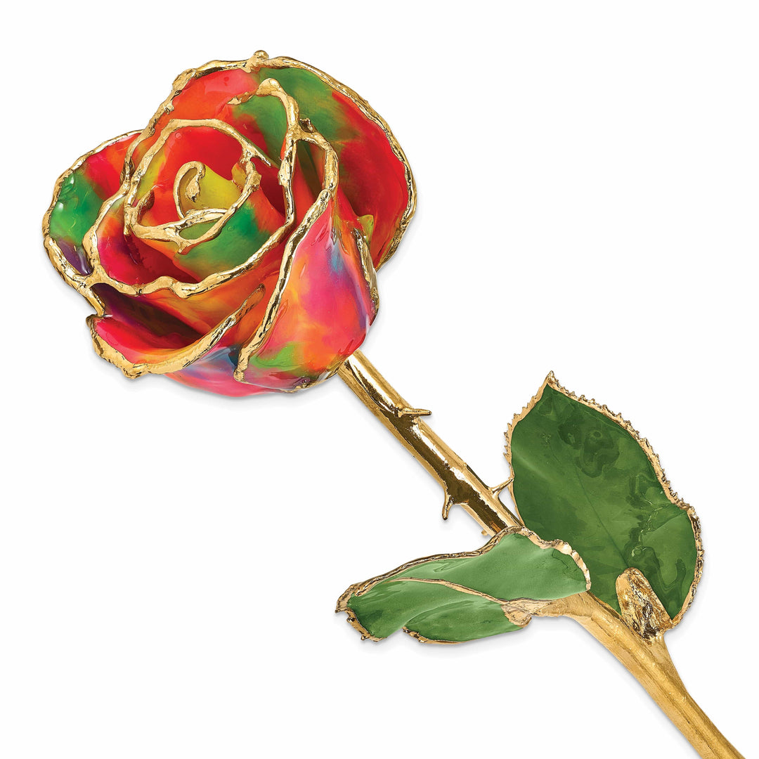 Lovely Rita's Trimmed Rose 24k Gold Plated Trim Aurora Neon Rainbow Rose