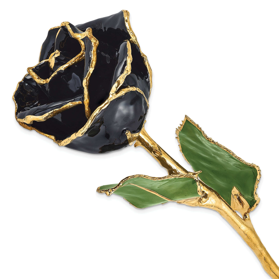 Lovely Rita's Trimmed Rose 24k Gold Plated Trim Black Rose