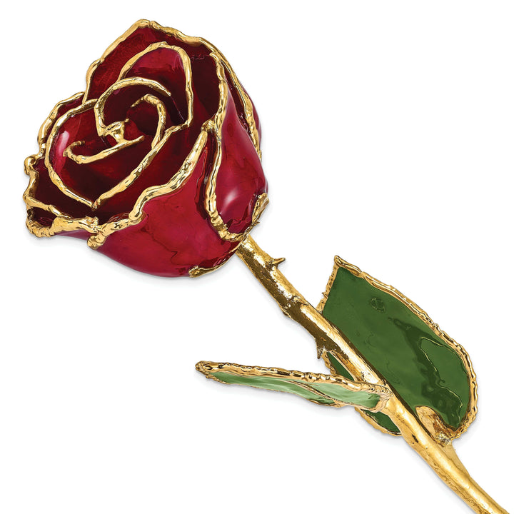 Lovely Rita's Trimmed Rose 24k Gold Plated Trim Burgundy Rose