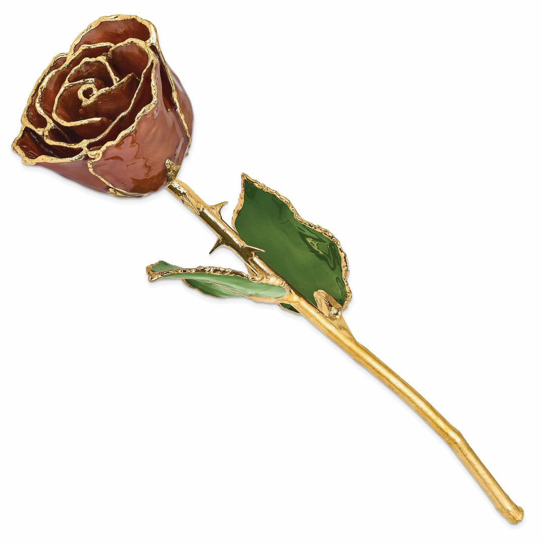 Lovely Rita's Trimmed Rose 24k Gold Plated Trim Cinnamon Pearl Rose